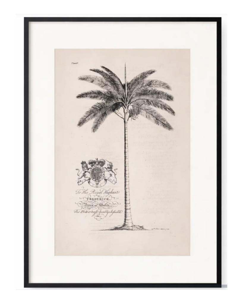 A1 frame with palm artwork