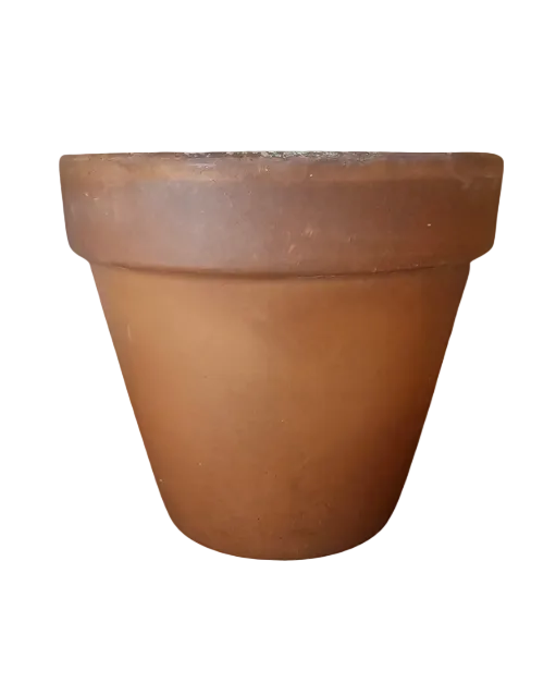 Terracotta herb pot
