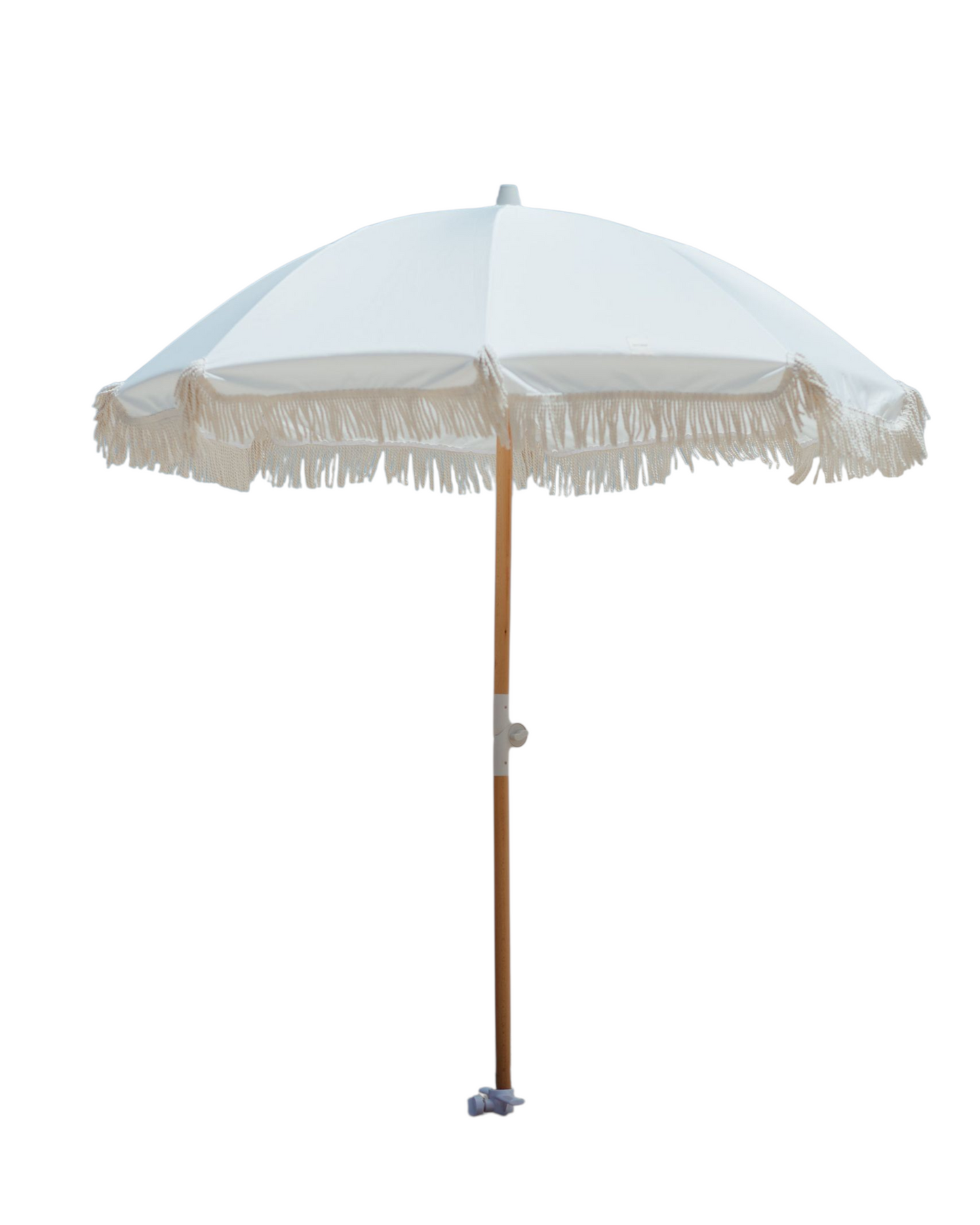 White fringed Umbrella