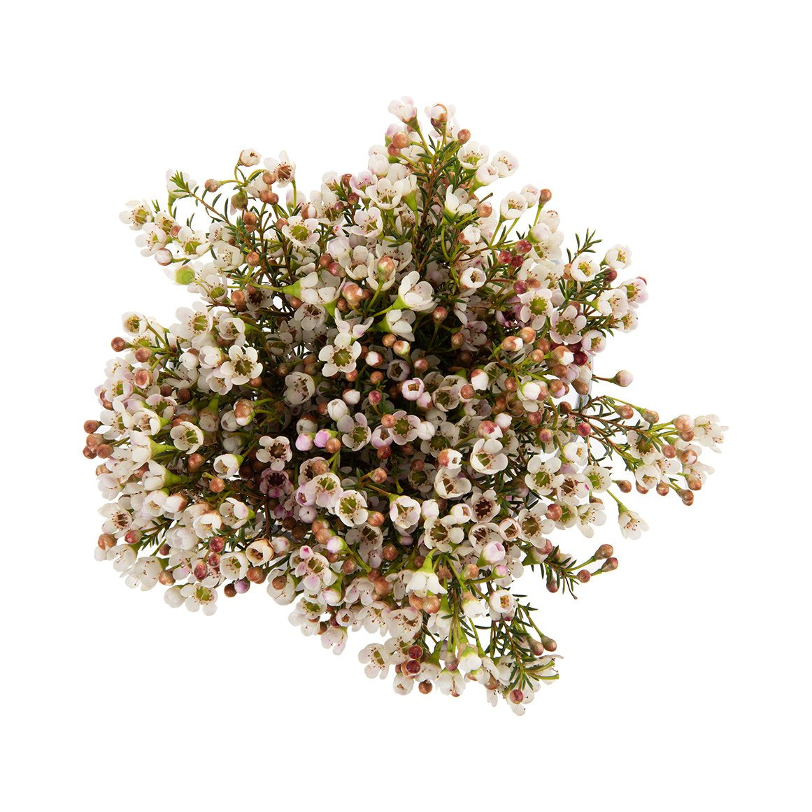 Fresh Flowers - FOR SALE