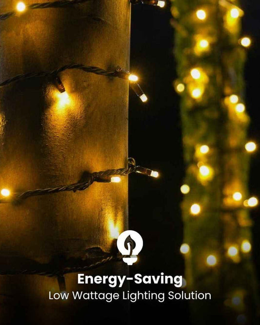Outdoor Heavy Duty Fairy Lights 10m Warm White - Black String
