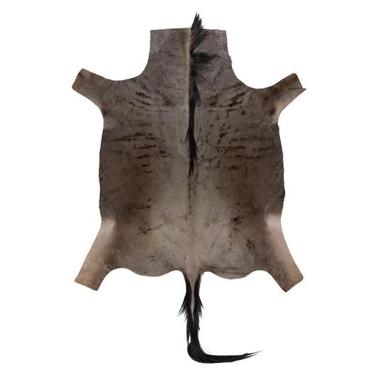 Wildebeest Hide Rug - FOR HIRE